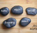 חושים בראי הרפואה הסינית-תמונה